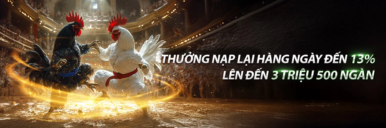 Đấu trường đá gà sôi động tại jj88 chính thức